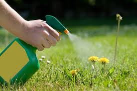 Herbicides &amp; Weed Control